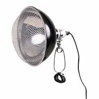 Lamp to help warm Yorkshire Terriers in cold weather