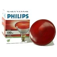 Infra red light suitable to keep Yorkies warm