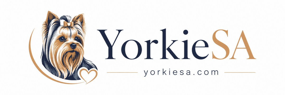 YorkieSA - Yorkie care guides South Africa